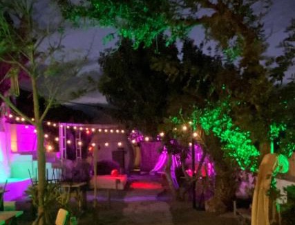 Agaete Apartamento | Finca Oaxaca - Casa Tortuga