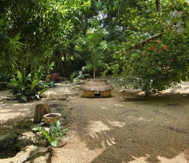 Homún Casa | Finca Oz