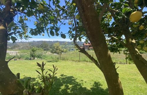 Ribadedeva Casa | Finca Robejones VV-511-AS