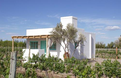 Vista Flores Cabina | Finca Rosablanca