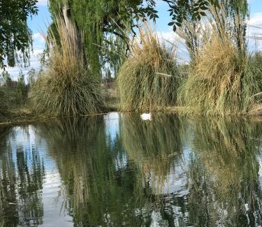San Rafael Cabina | Finca Silvestre