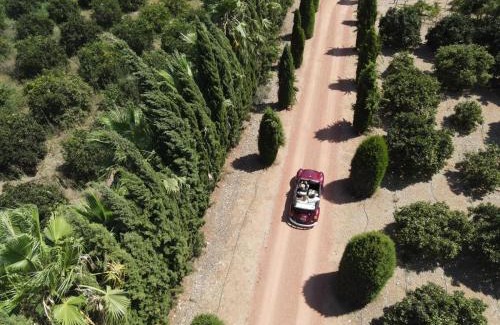 Sencelles Casa | Finca Son Miranda -LA Organic