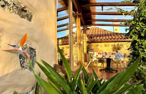 Icod de los Vinos Apartamento | Finca Tenerife - Cozy Studio mit Traumblick & tropischem Garten