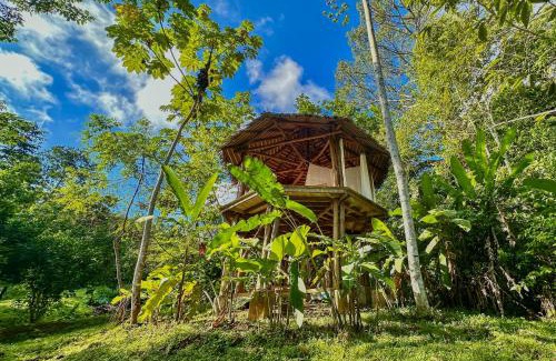 Puerto Jiménez Otro | Finca Terra Incognita - Wood cabins in the jungle