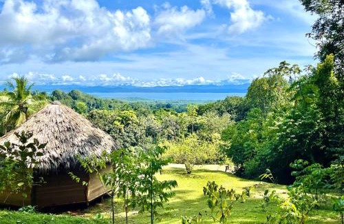 Puerto Jiménez Otro | Finca Terra Incognita - Wood cabins in the jungle