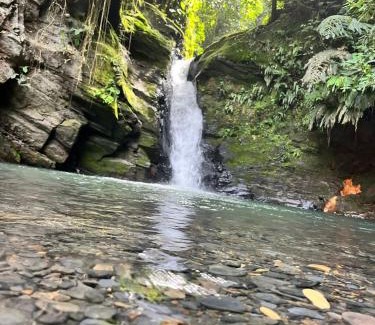 Vergara Casa | Finca turística el paraíso es aqui