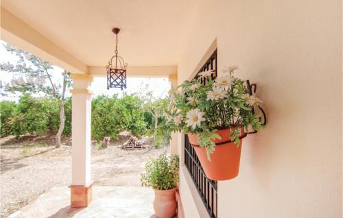Almodovar del Río Casa | Finca Villaseca