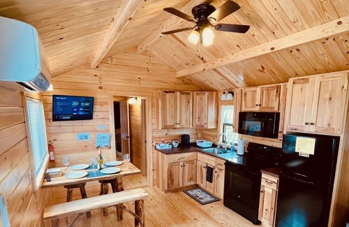 Hector Cabina | Finger Lakes Cabin on Seneca Wine Trail Vineyard View 6