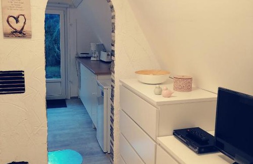 Ilmenau Casa | Finnhütte auf einem großen Grundstück im Thüringer Wald