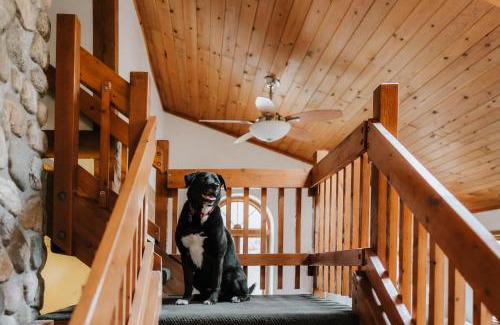 Suttons Bay Casa | Finnwood - A Pet Friendly Woodland Retreat