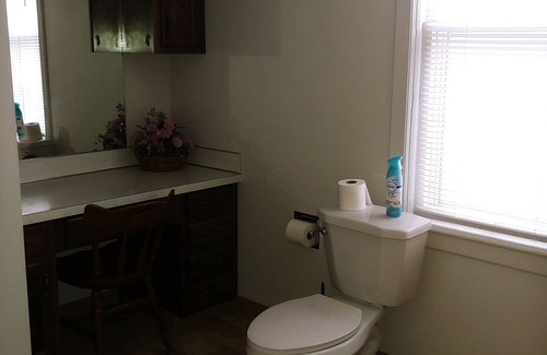 Owosso Casa | Fins Inn Apt A