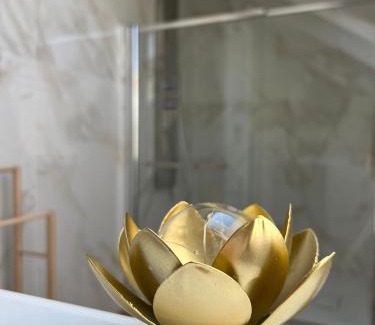 Millefonti Apartamento | Fior di Loto Suite - Lingotto