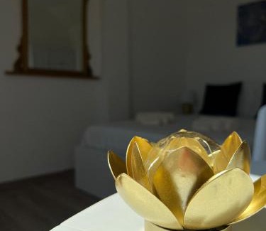Millefonti Apartamento | Fior di Loto Suite - Lingotto