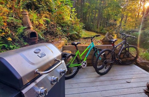 Hendersonville Cabina | Firefly Cabin-1930's Retreat: Bikes, BBQ, walk dtn