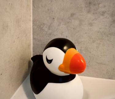 Burghead Apartamento | Firth View, Burghead
