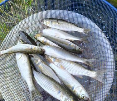 Poti Otro | Fisherman's house