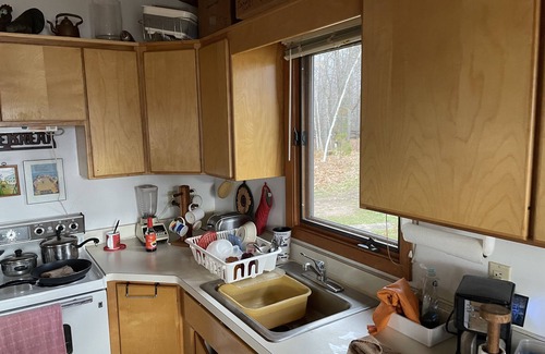 Deerwood Cabina | Fishing cabin in the pines! 50 acres of lakeshore forest, & only YOU! Beauty.