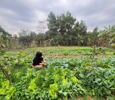Tran Yen Casa | Fishing Farm Homestay