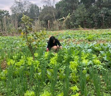 Tran Yen Casa | Fishing Farm Homestay