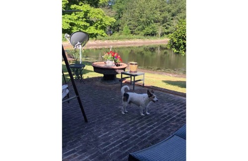 Hartsville Casa | Fishing paradise!