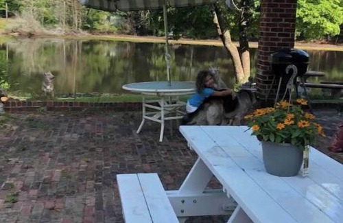 Hartsville Casa | Fishing paradise!