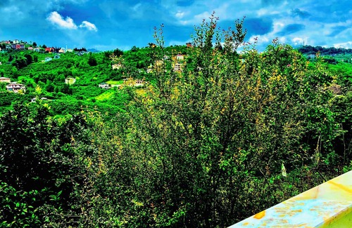 Arsin Apartamento | Five Stars Apart Bungalov