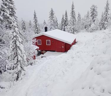 Tokke Casa | Fjellhytten by Norgesbooking - cozy traditional cabin