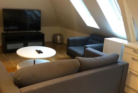 Bergen City Centre Apartamento | Fløyen Apartment