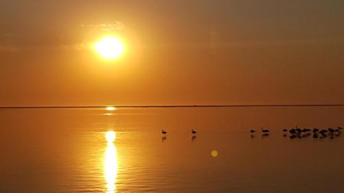 Walvis Bay Apartamento | Flamingo Cottage no 12