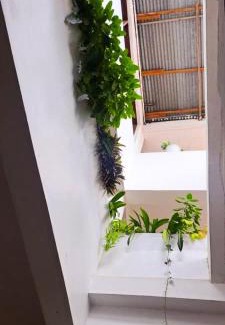 Stone Town Hotel | Flamingo Guest House