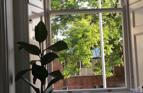 Ayr Apartamento | Apartamento 28: Graneros Street Ayr