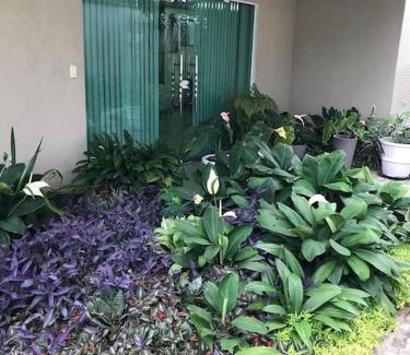 Aleixo Apartamento | Flat completo próximo ao INPA