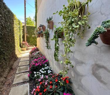Garanhuns Apartamento | Flat das flores