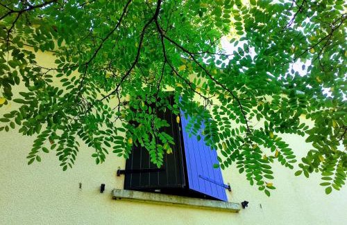 Vailhourles Casa | Fleur de Tilleul