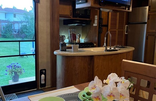Leduc County Casa | Remolque Flex RV Travel estacionado en un hermoso lote de 4 acres, supervisando tierras forestales.