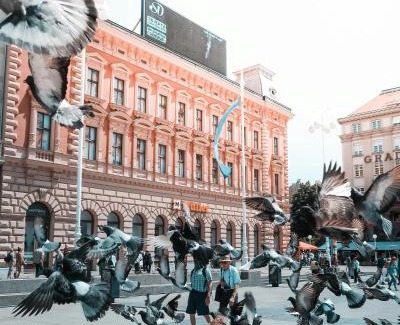 Donji Grad Apartamento | Flex SelfCheckIns - Zagreb - ApartHotel - 8 Units - City Centre - New