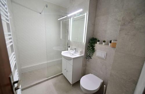 Sibiu Apartamento | FLH - Apartament Damar Sibiu