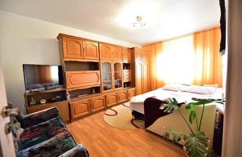 Sibiu Apartamento | FLH - Fate's Apartment Sibiu