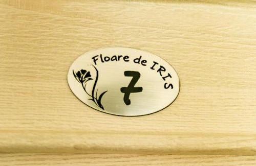 Vama Veche Casa | Floare de Iris