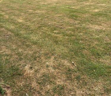 Great Yarmouth Apartamento | Florida site 116