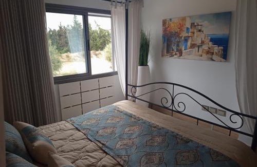 Mrezga Apartamento | Florida Studio Hammamet Nord