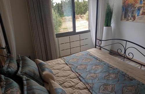 Mrezga Apartamento | Florida Studio Hammamet Nord