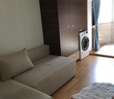 Oradea Apartamento | Florina's Apartment
