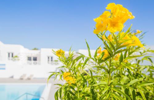 Playa del Cable Apartamento | Flower Beach Suite 6