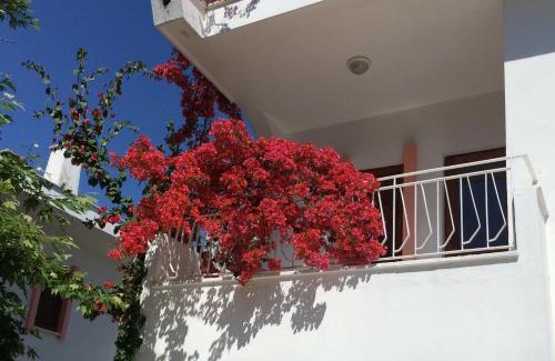 Kemer Complejo | Flower Villa Apart