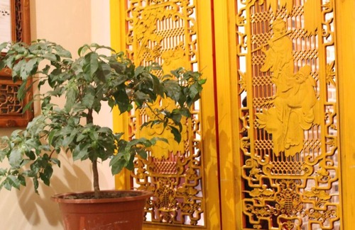 Huairou Casa | Flower Yard