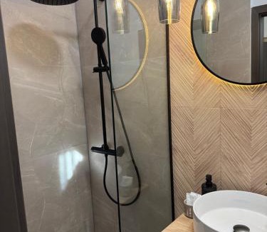 Center Apartamento | Flowers House Sibiu