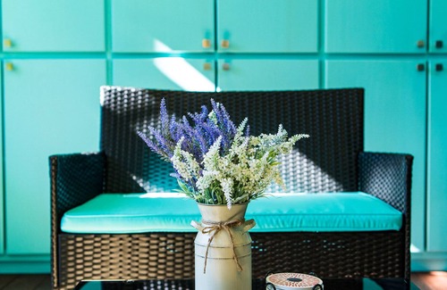 Barton Heights Casa | Flutter into this iconic South Austin work of art >> The Pixie by Lodgewell