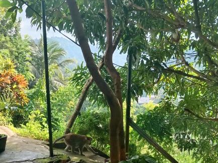 Anniwatta Casa | Fly Infinity - Home Stay Kandy