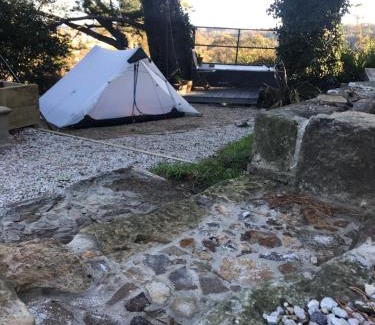 Katoomba Hostal | Flying Fox Backpackers